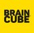 brain cube logo