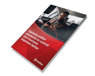 Optimize online payments report cover